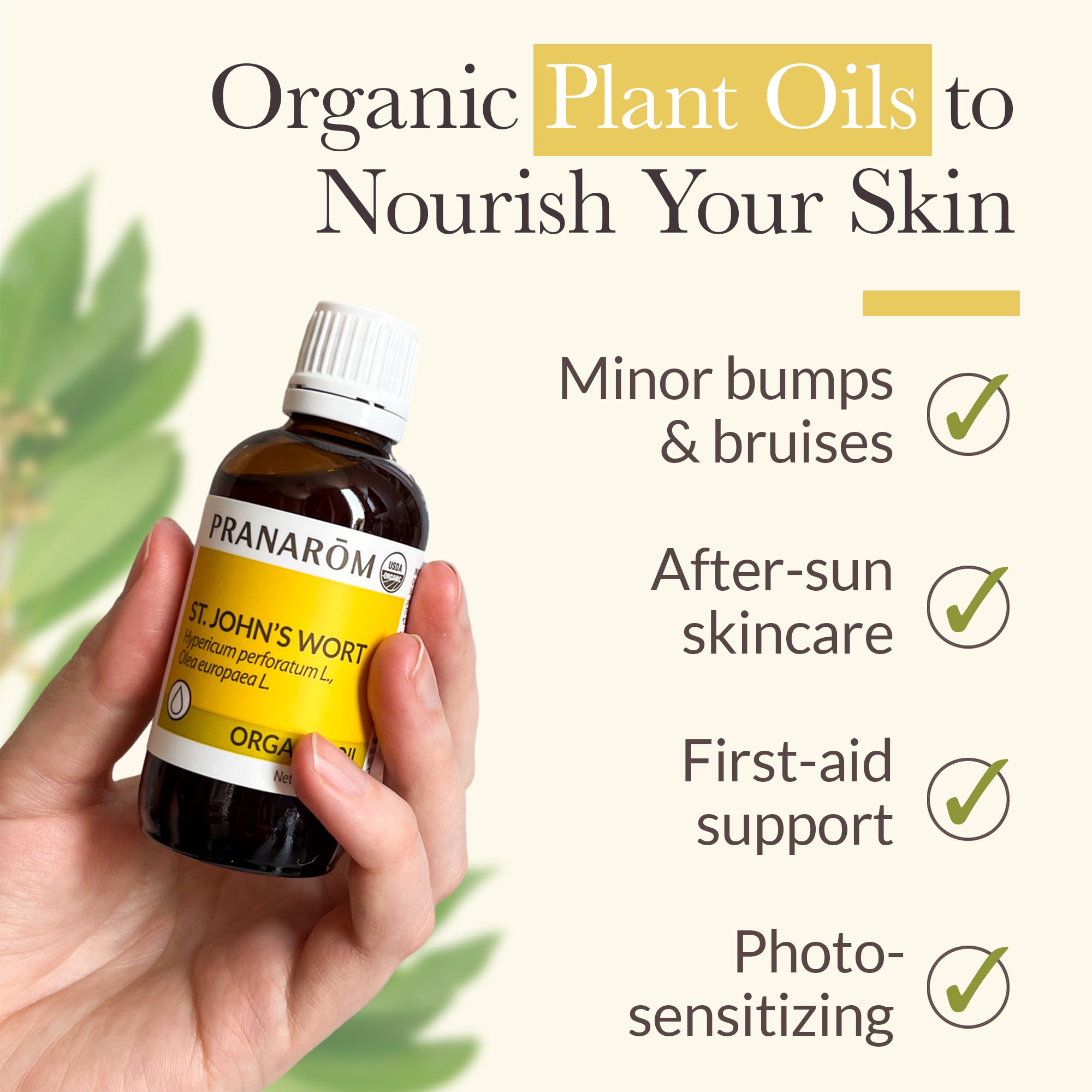 St. John's Wort Virgin Plant Oil | Pranarôm