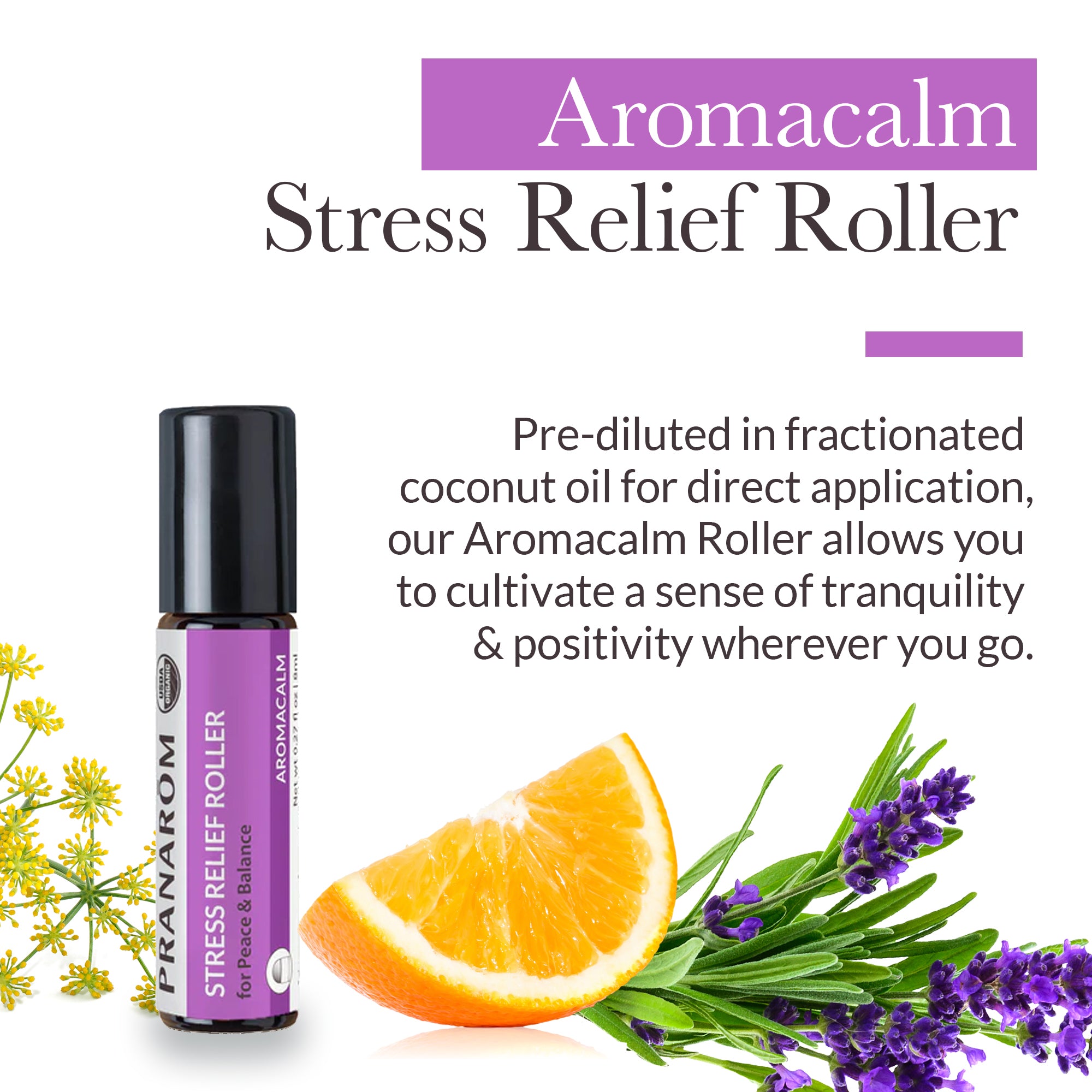 Aromacalm Stress Relief Roll-On - Bio | Pranarôm